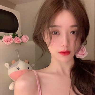 女巡特警之蜂鸟突击队